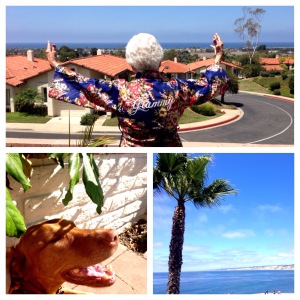 Grammys feelings on our view. And she's proudly wearing her robe from our wedding morning. #nofilter...promise!